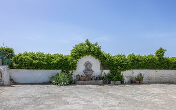 Property slide 23