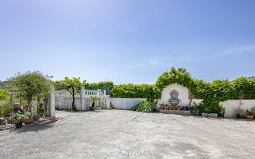 Property slide 24