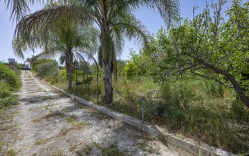 Property slide 27
