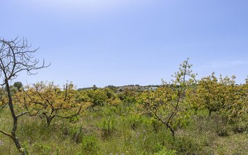 Property slide 29