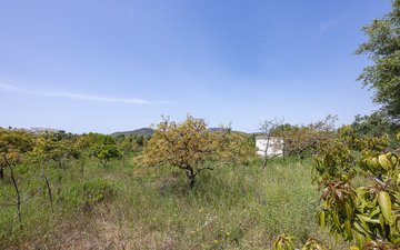 Property slide 32