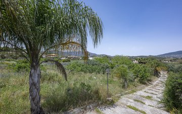 Property slide 35