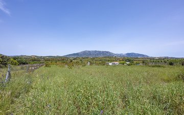 Property slide 36