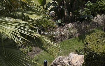 Diapositiva 33 de la propiedad