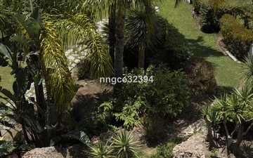 Diapositiva 34 de la propiedad