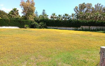Property slide 1