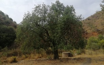 Property slide 13