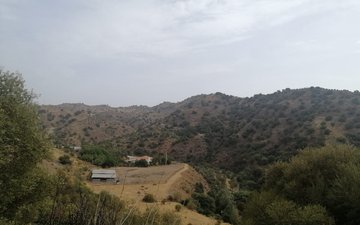 Property slide 17