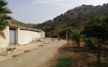Property slide 31