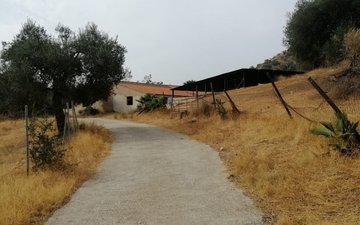 Property slide 39
