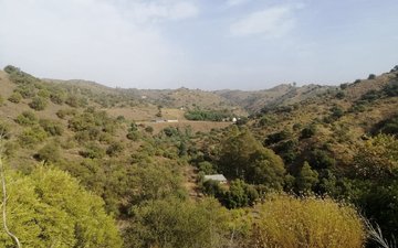 Property slide 40