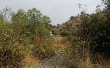 Property slide 8