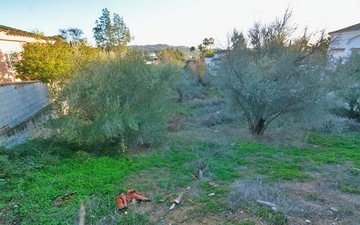 Property slide 6