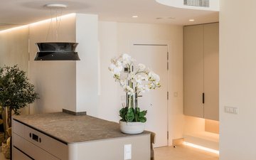 Property slide 27