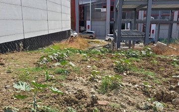 Property slide 11