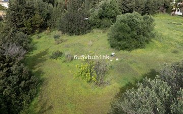 Property slide 13