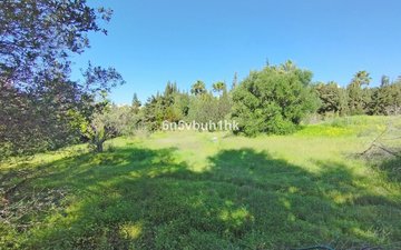 Property slide 15