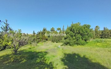 Property slide 17