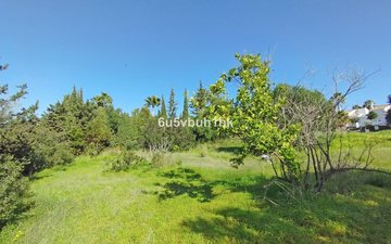 Property slide 19