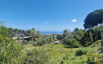 Property slide 8