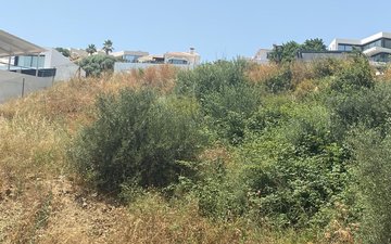 Property slide 9