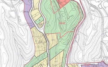 Property slide 12