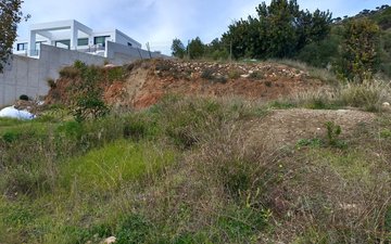 Property slide 2