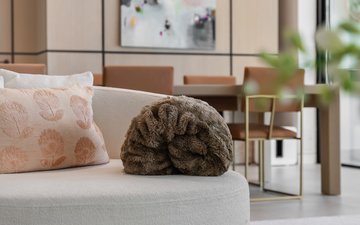 Property slide 25