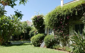 Property slide 11