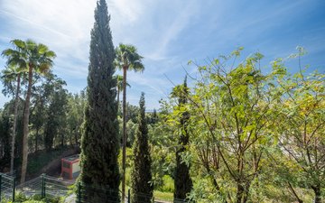 Property slide 19