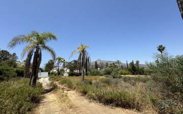 Property slide 6