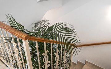 Property slide 19