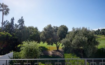 Property slide 24
