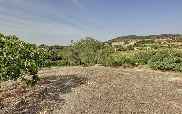 Property slide 41