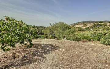 Property slide 40