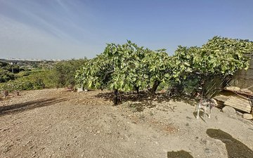 Property slide 37