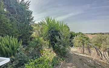 Property slide 30