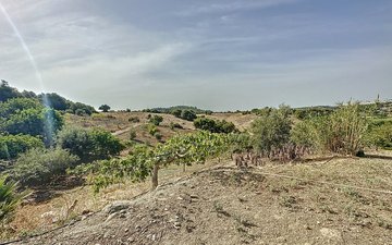 Property slide 35