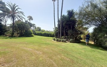 Property slide 31