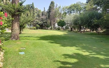 Property slide 16