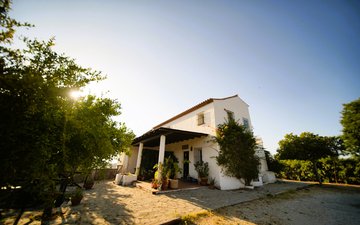 Property slide 38
