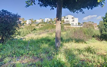 Property slide 11