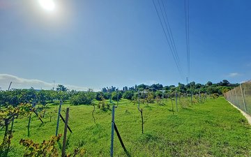 Property slide 30