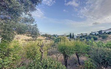 Property slide 25
