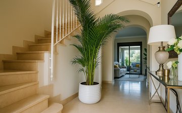 Property slide 4