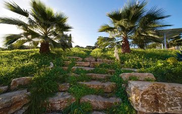 Property slide 47
