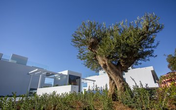 Property slide 19