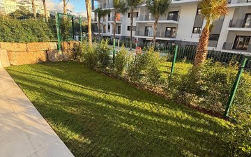 Property slide 13