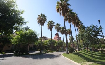 Property slide 37