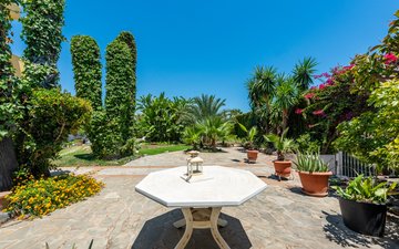 Property slide 31
